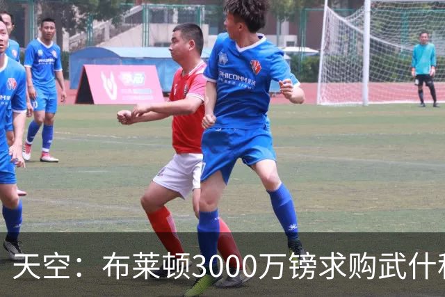 天空：布莱顿3000万镑求购武什科维奇，预计热刺对其估值超6000万